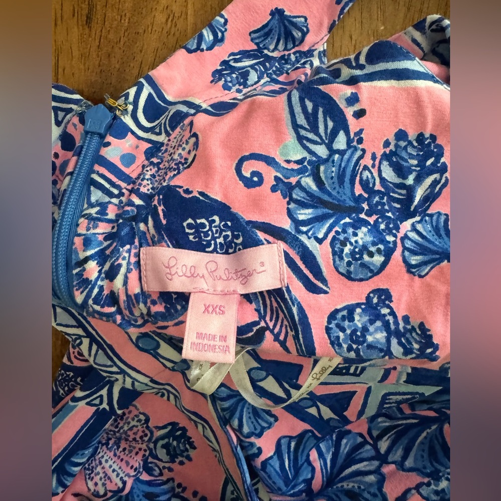 NWT Lilly Pulitzer Taryn Maxi Dress SZ XXS Melon Fig Ginger Jar - Picture 15 of 16